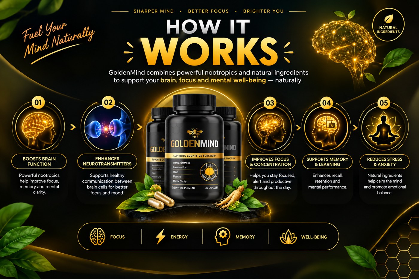 GoldenMind five-step how it works: boosts brain function, enhances neurotransmitters, improves focus and concentration, supports memory and learning, reduces stress and anxiety